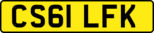 CS61LFK