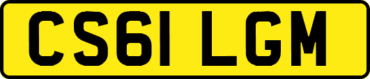 CS61LGM