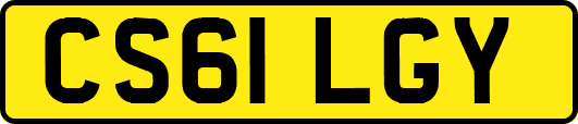CS61LGY