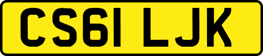CS61LJK
