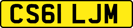 CS61LJM
