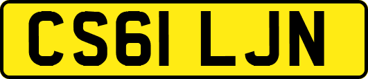 CS61LJN