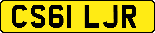 CS61LJR