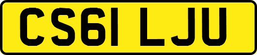 CS61LJU