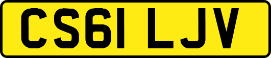 CS61LJV