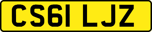 CS61LJZ