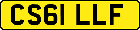 CS61LLF