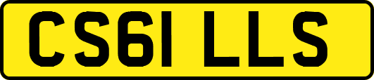 CS61LLS