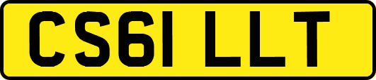 CS61LLT