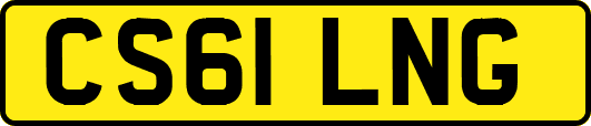 CS61LNG