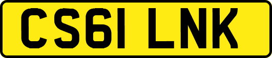 CS61LNK