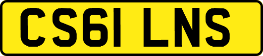 CS61LNS