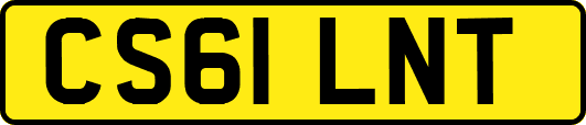 CS61LNT