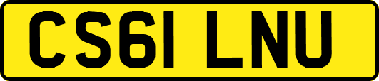 CS61LNU