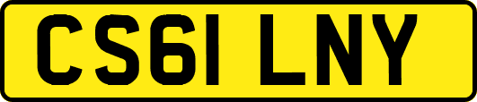 CS61LNY