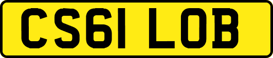 CS61LOB