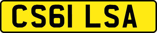 CS61LSA