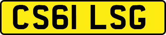 CS61LSG