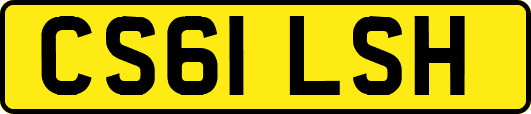 CS61LSH