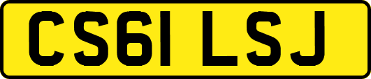 CS61LSJ