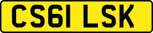 CS61LSK
