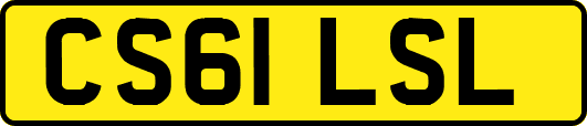 CS61LSL