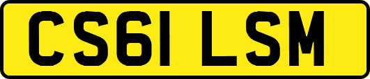 CS61LSM