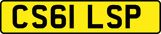 CS61LSP
