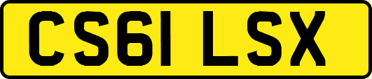 CS61LSX