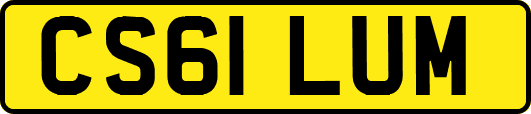 CS61LUM
