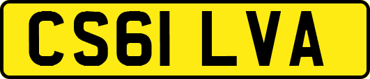 CS61LVA