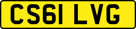 CS61LVG