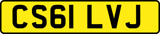 CS61LVJ