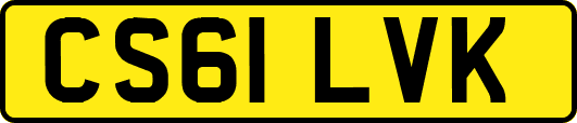 CS61LVK