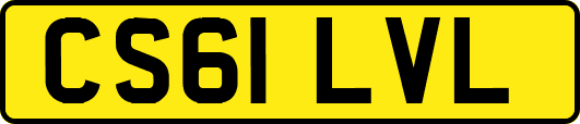 CS61LVL