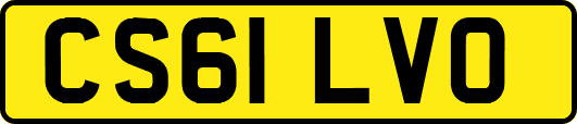 CS61LVO