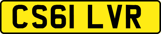 CS61LVR