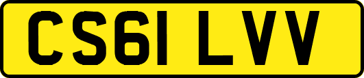 CS61LVV
