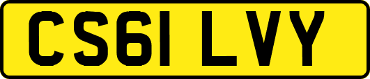 CS61LVY