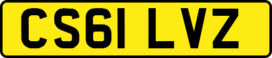 CS61LVZ