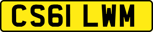 CS61LWM