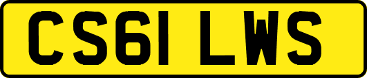 CS61LWS