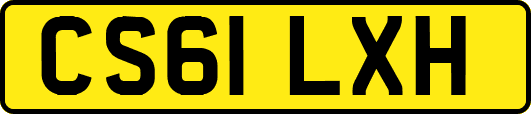 CS61LXH