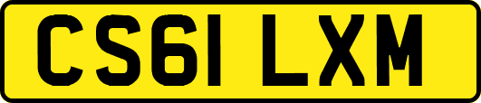 CS61LXM