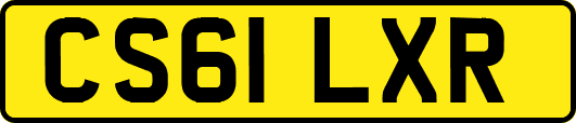 CS61LXR