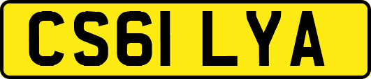 CS61LYA