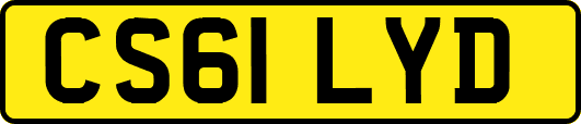 CS61LYD