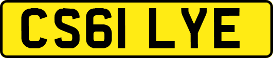 CS61LYE