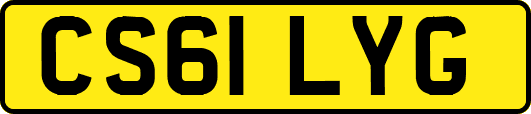 CS61LYG