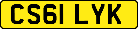 CS61LYK